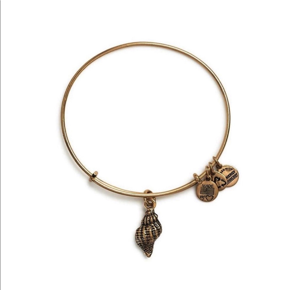 ALEX AND ANI BANGLE